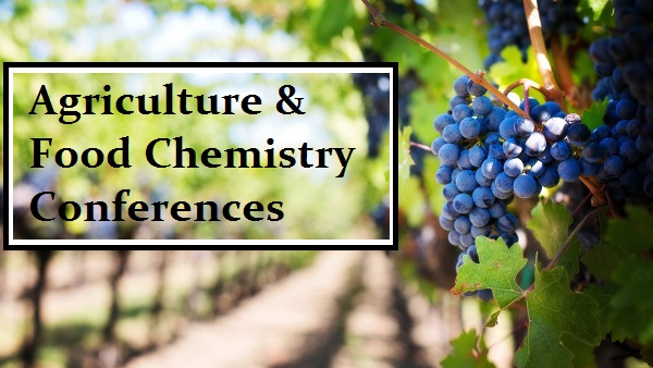 grapes-in-vineyard_600x338-mm-90