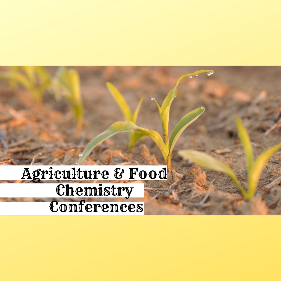 Untitled design (15).jpg